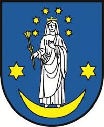 Babínin kunnan vaakuna